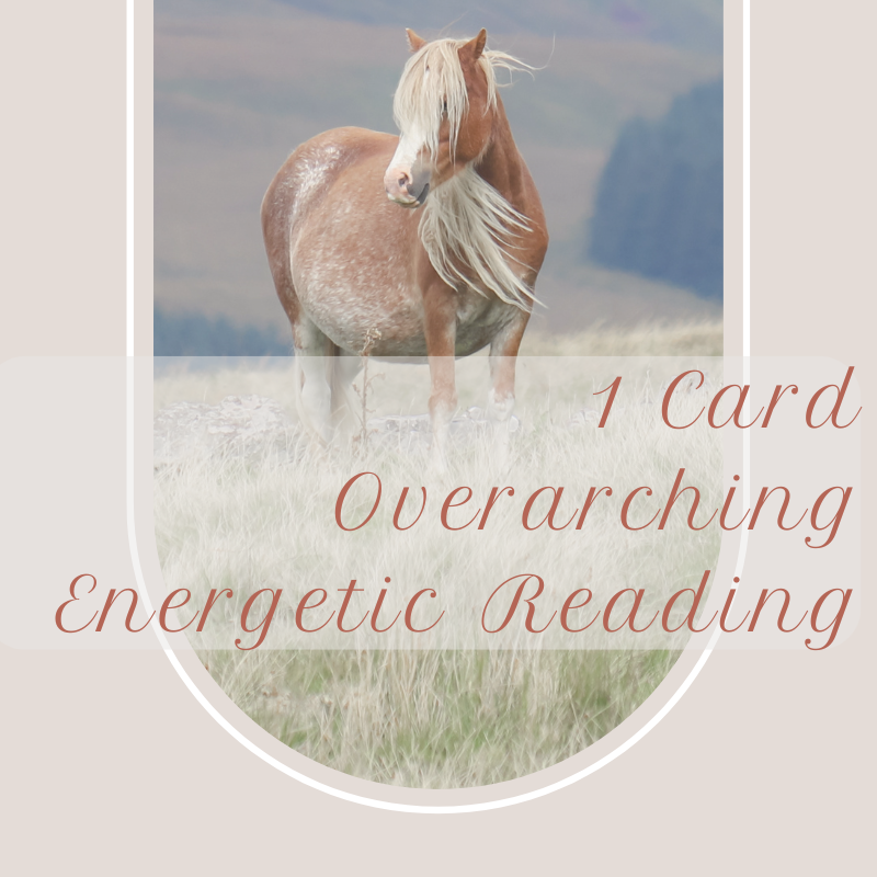 Service Pics For Website (13).png