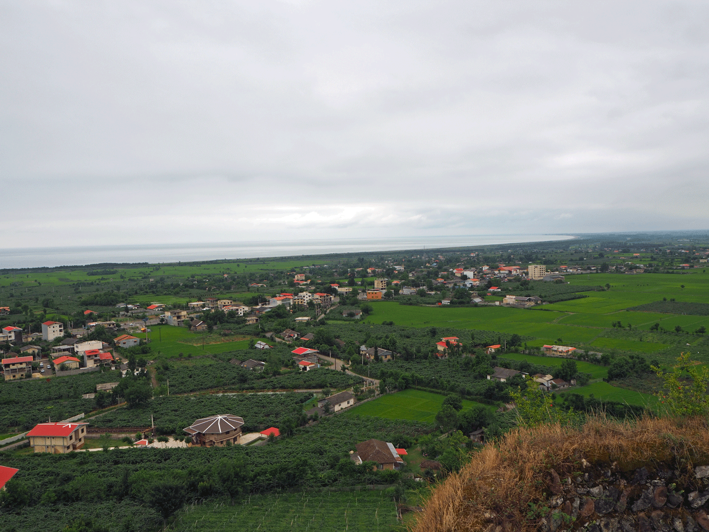 Rice paddies, grape vines and the Caspian Sea