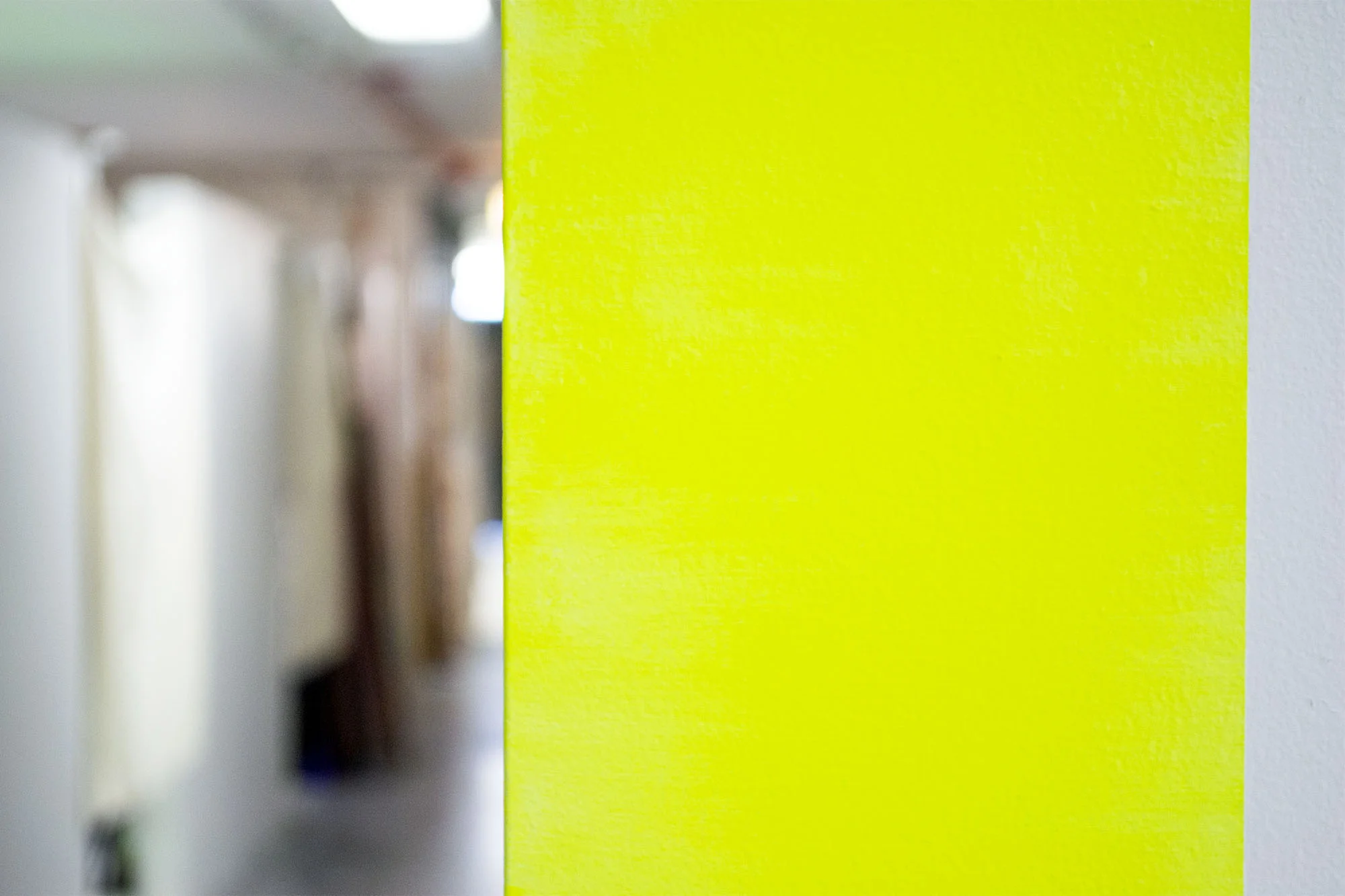 14RN_Fluo2.jpg