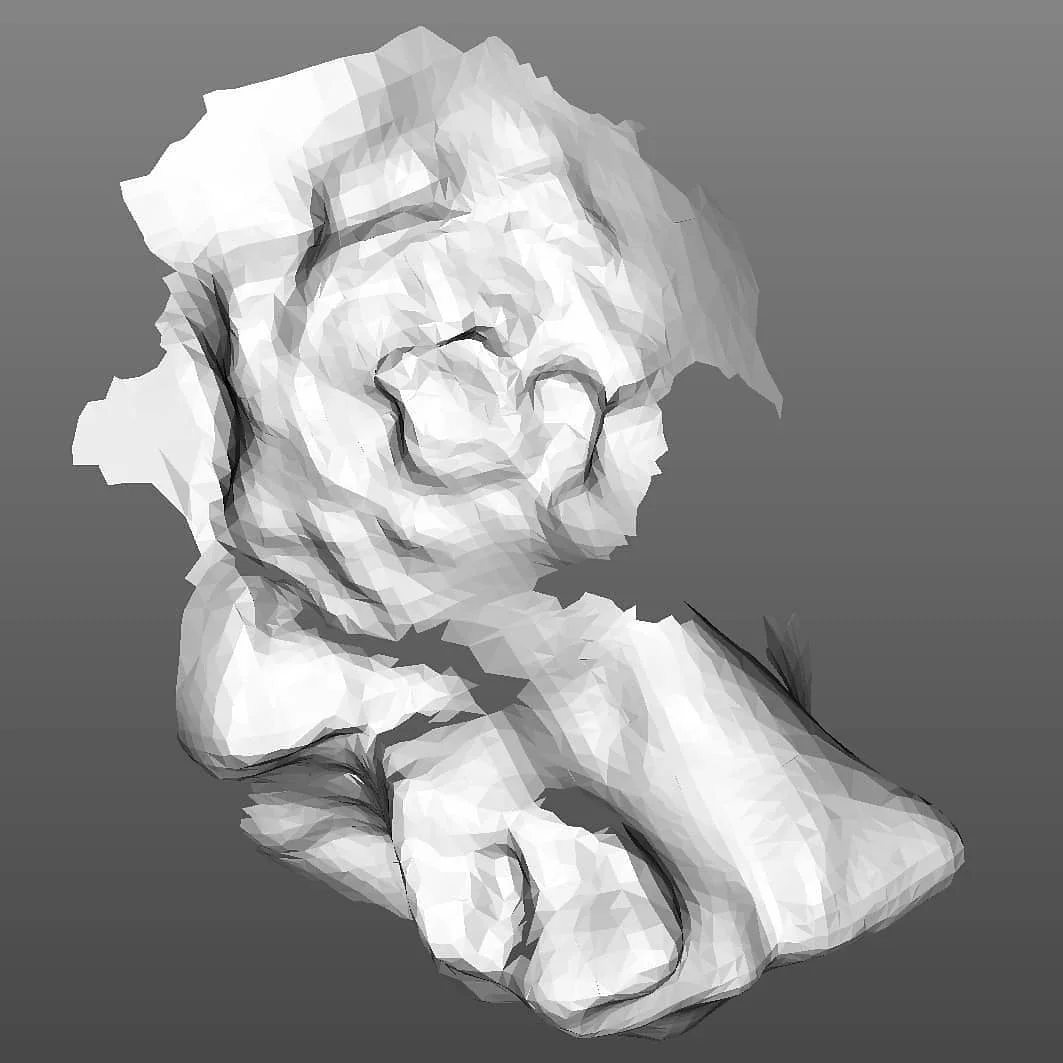 Texture Scan.jpg