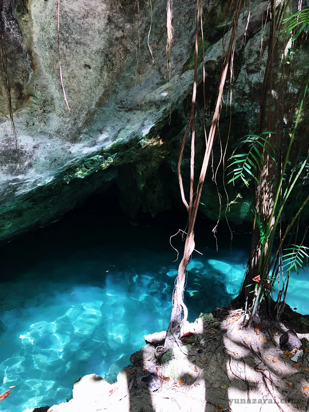 tulum12.jpg