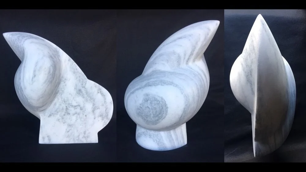 Nautilus.jpg