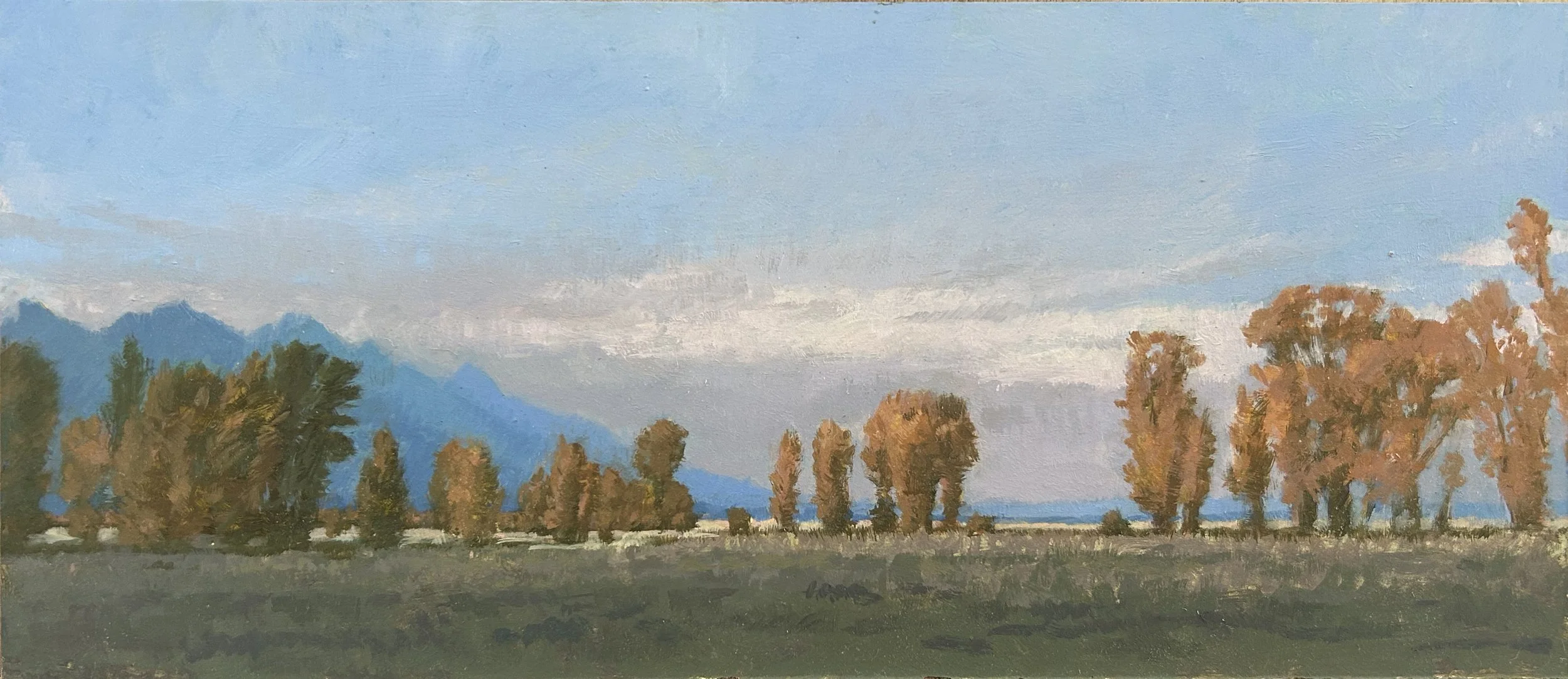 LANDSCAPE