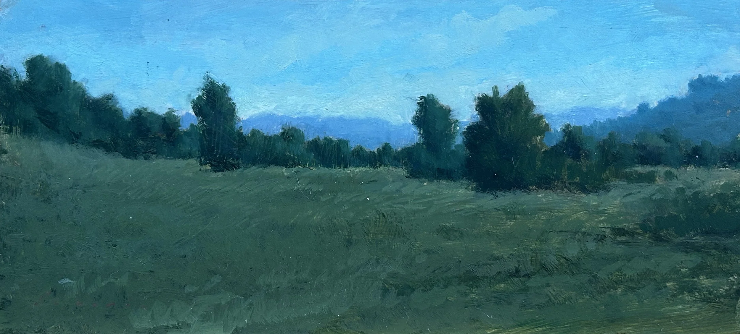 MEADOW