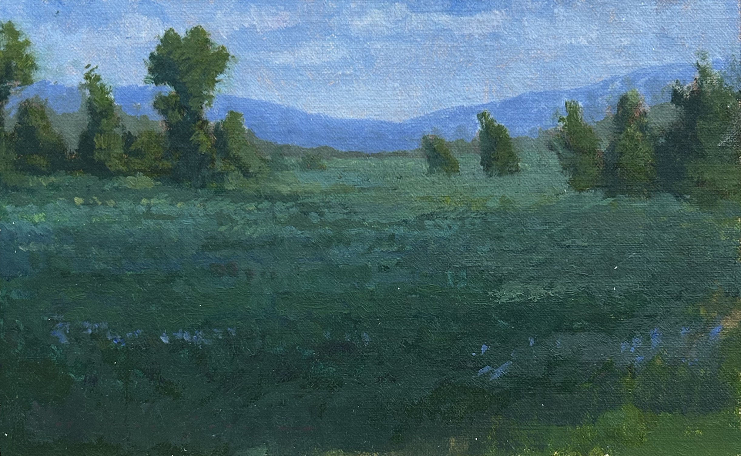FIELD