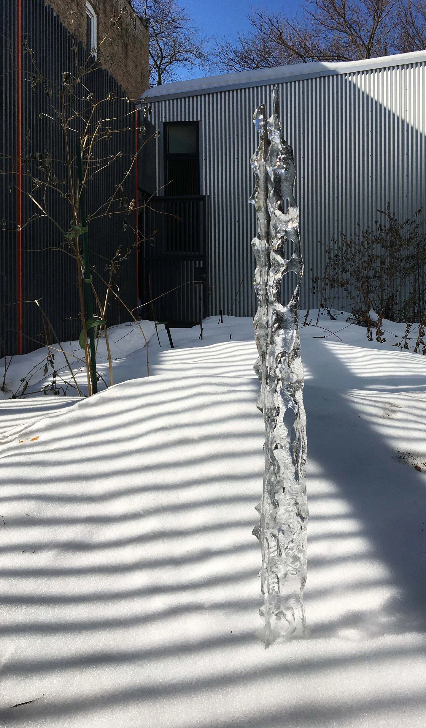 2021-02-24 URL ijsbeeld crop smaller.jpg