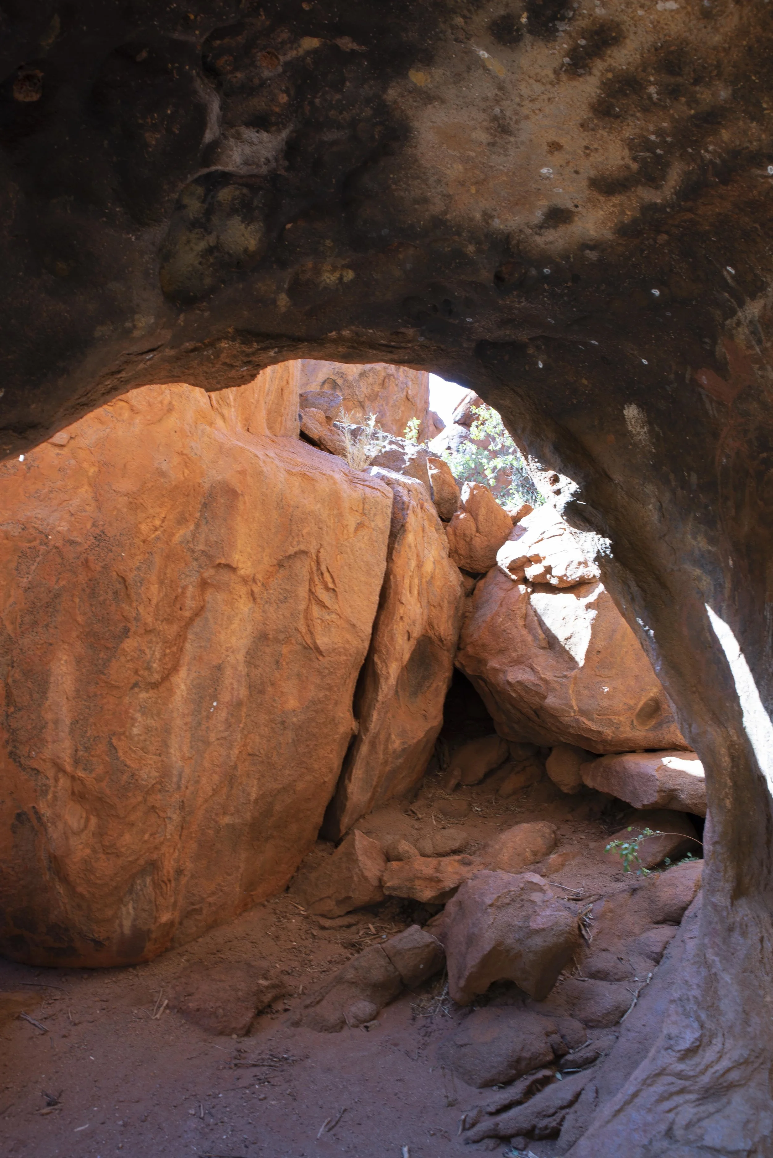 DSC_8083.jpg