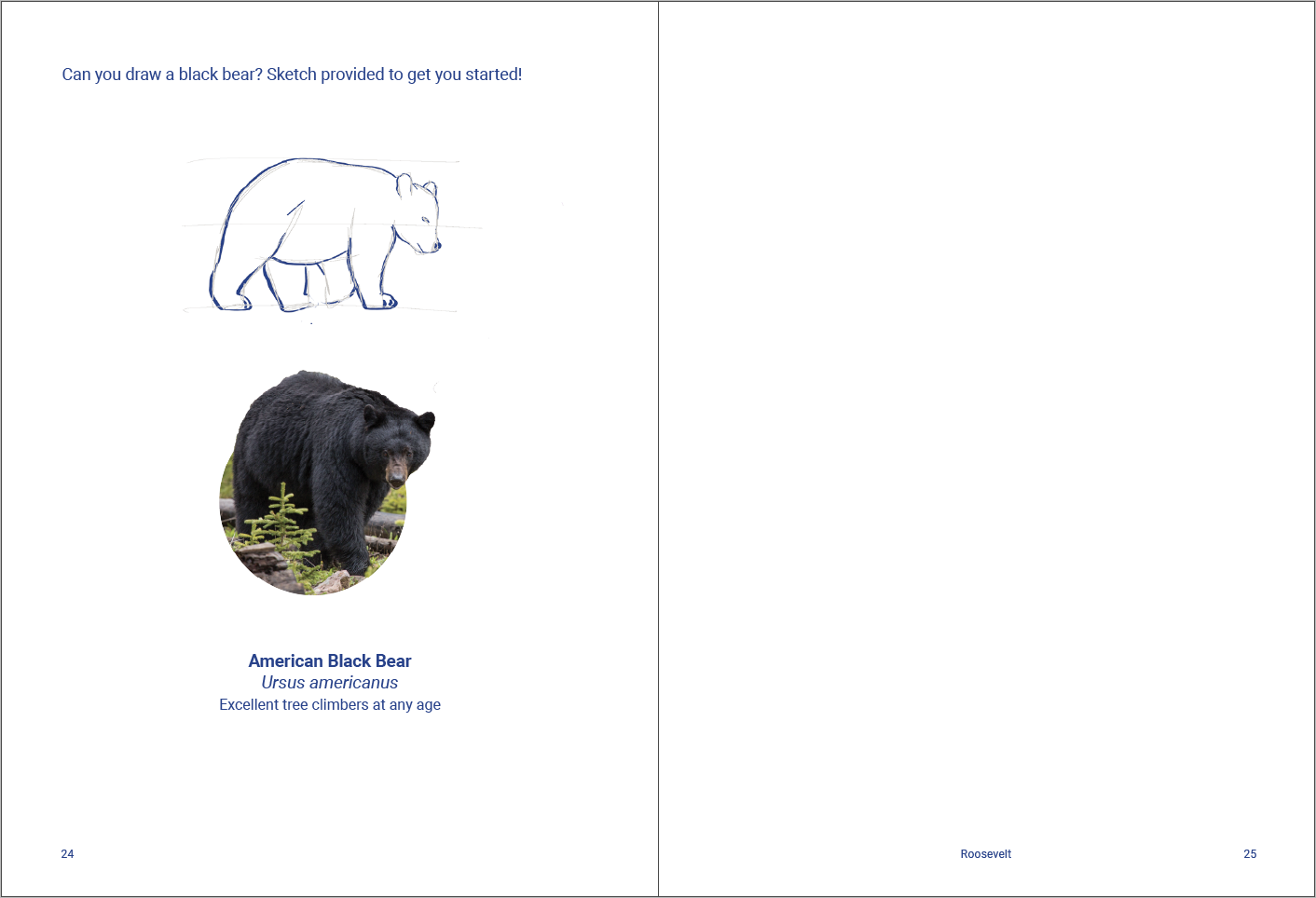 Screen Shot 2019-10-02 at 5.02.59 PM.png