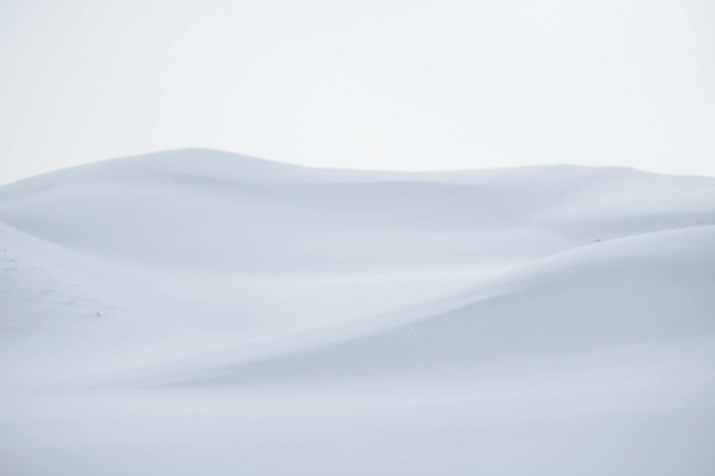 DSCF5759.jpg