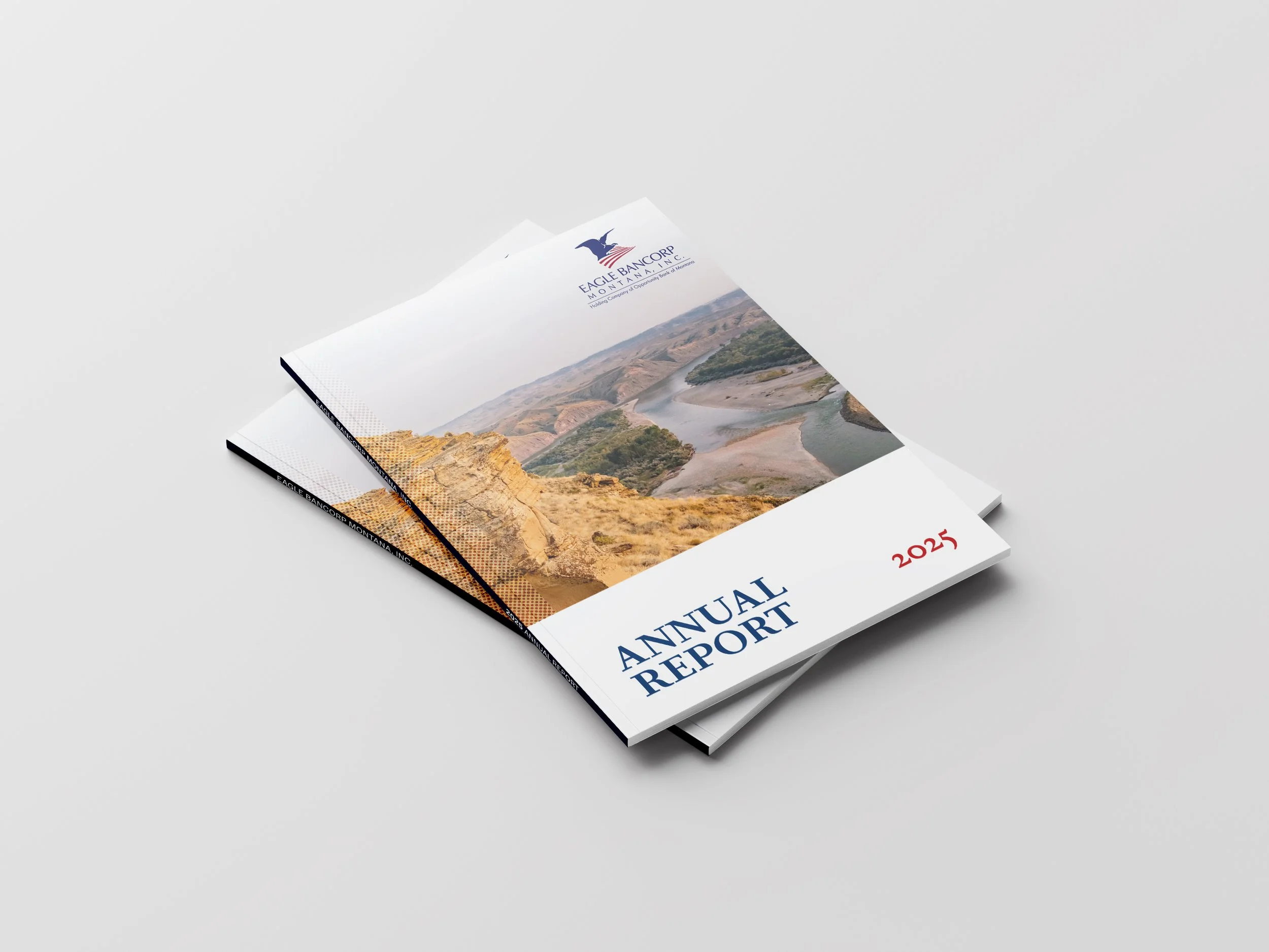 2025 Annual Report Cover.jpg