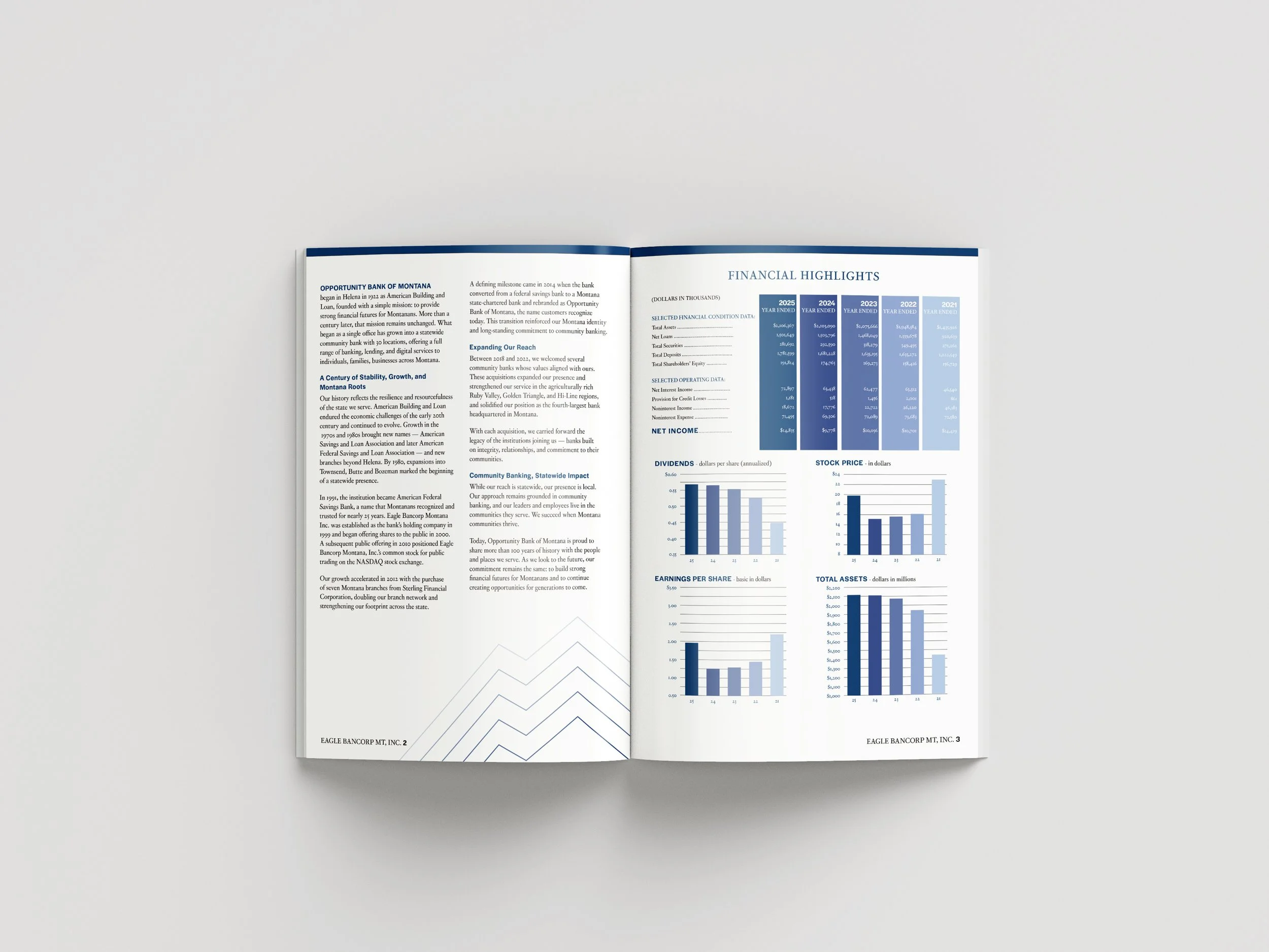 2025 Annual Report Spread 1 .jpg