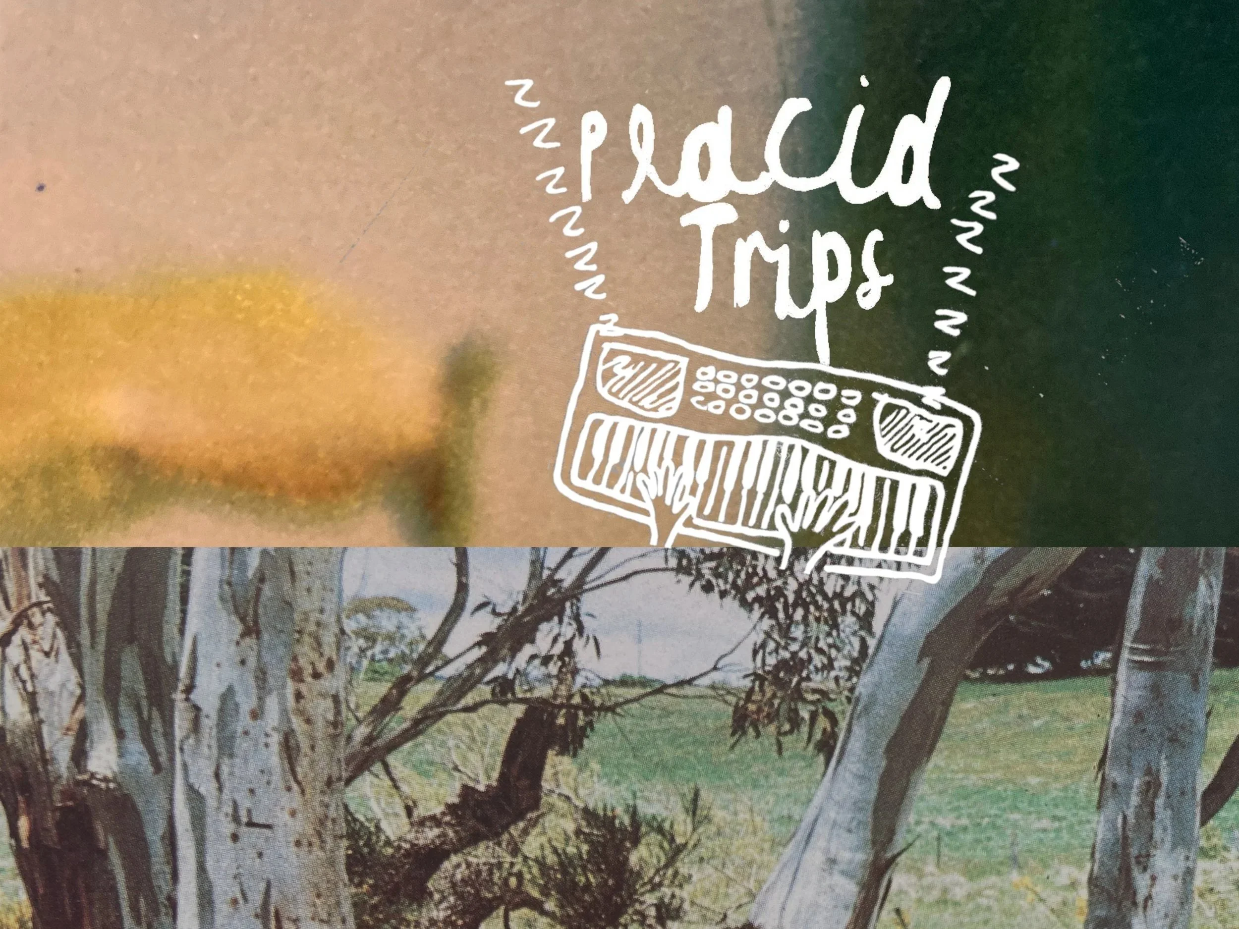 Placid Trips