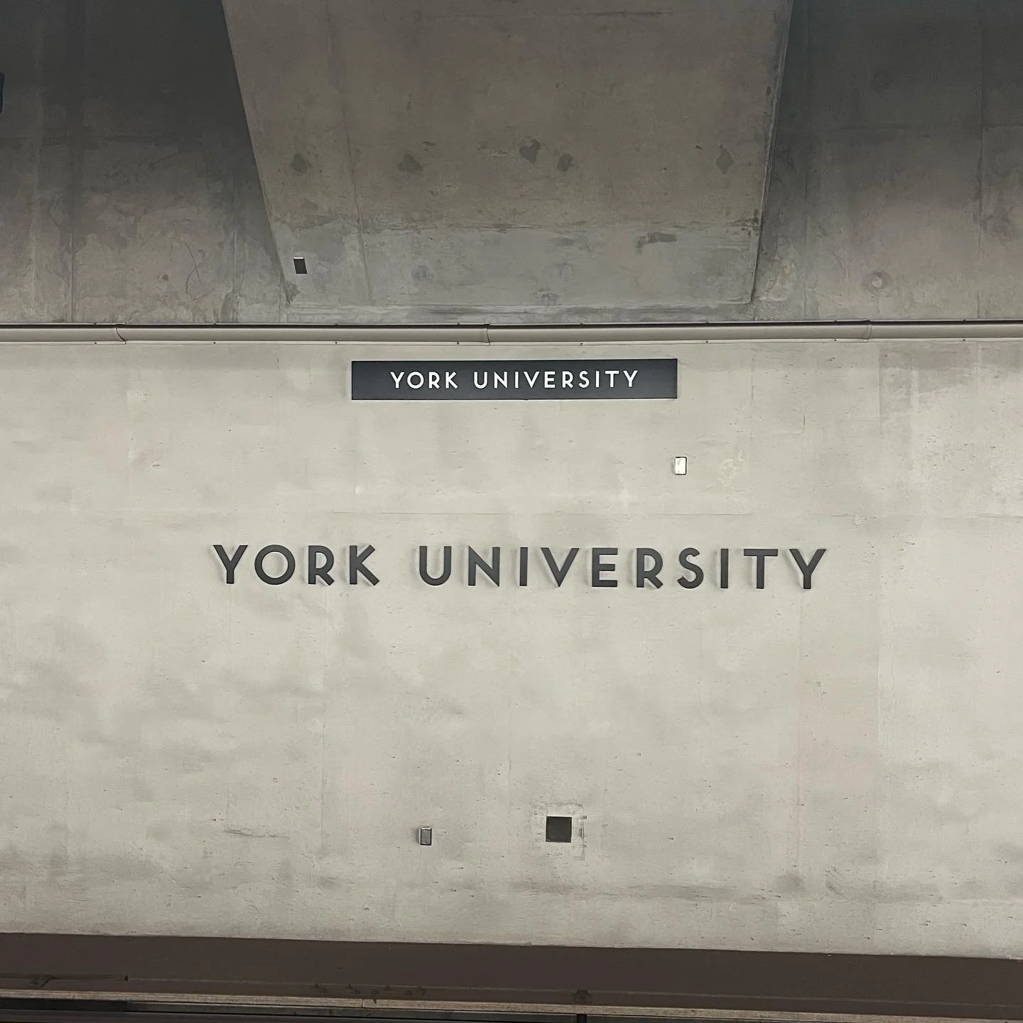 Found myself up at York University a couple times this month. What an amazing community of students, staff, and faculty! Big thank yous for inviting me to speak and share my experiences in music therapy 🎶 🕺🏻 
&middot; &middot;
Incredibly grateful 