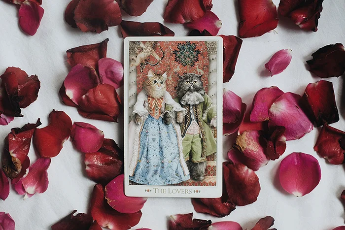 The Lovers - The Baroque Bohemian Cats Tarot by The Baba Studio