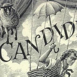 Candide