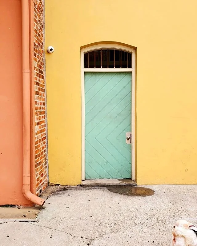 Special thanks to @caneandtable 's empanadas and frozen hurricane for helping me survive this Saturday.