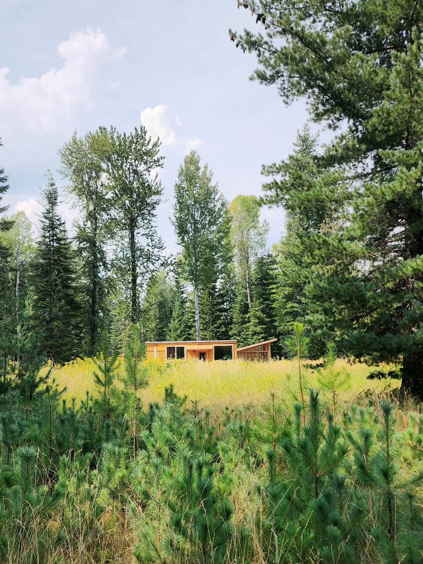 NINW (North Idaho Nature Walk)