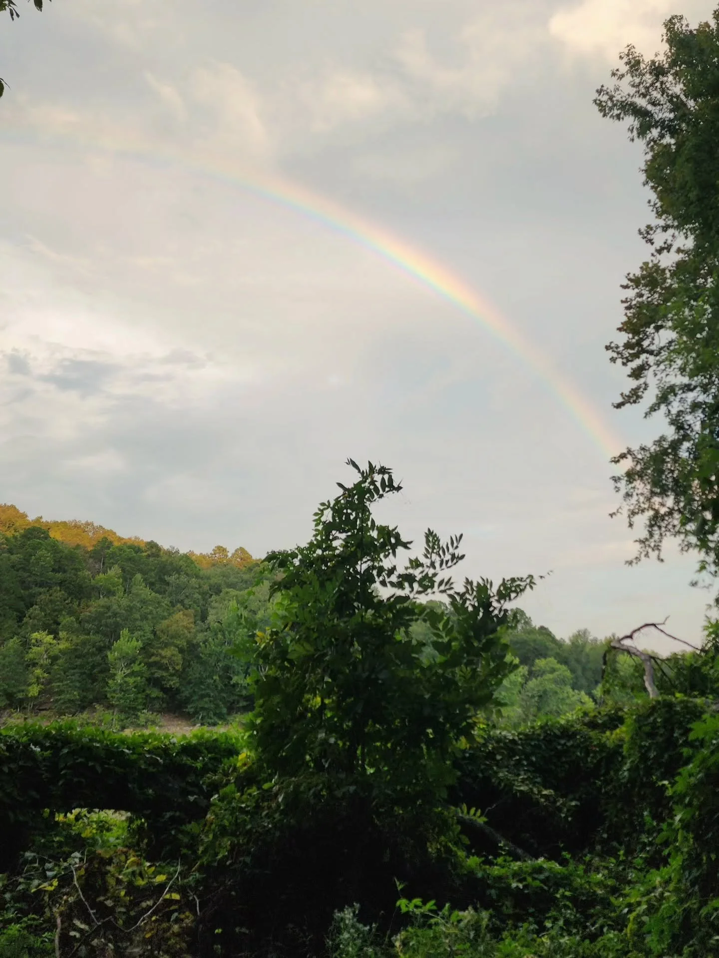Idaho | New Orleans | Arkansas
