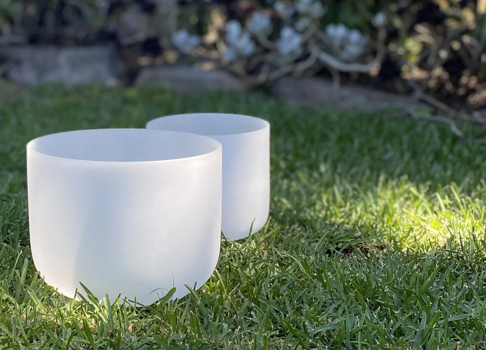 Healing for International Women's Day