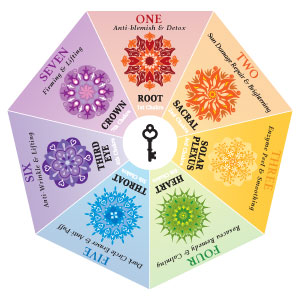 A Quick Guide To The 7 Chakras And Apotheque S Chakra Serums Apotheque Lifestyle Spa