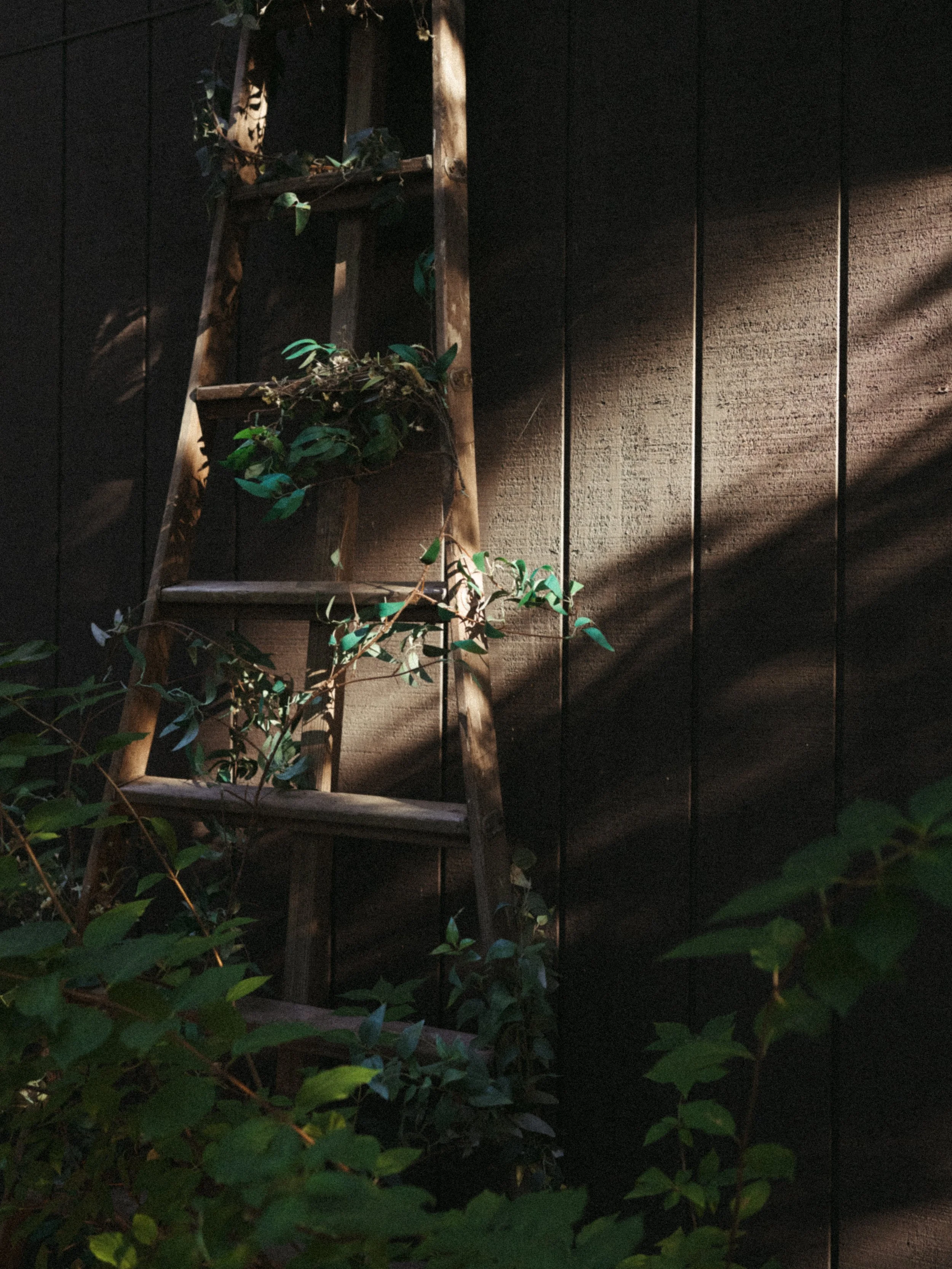 Copy of DSC00530.jpg