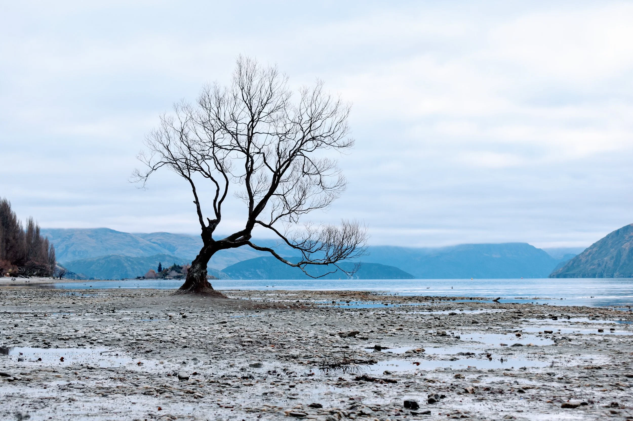 DSC_0604.jpg