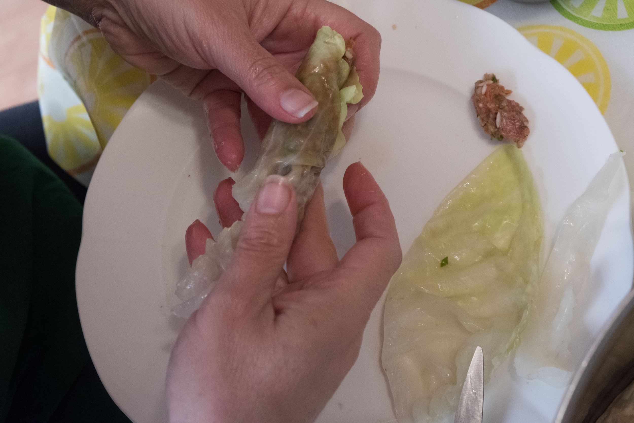 Continue Cabbage Roll 1.jpg