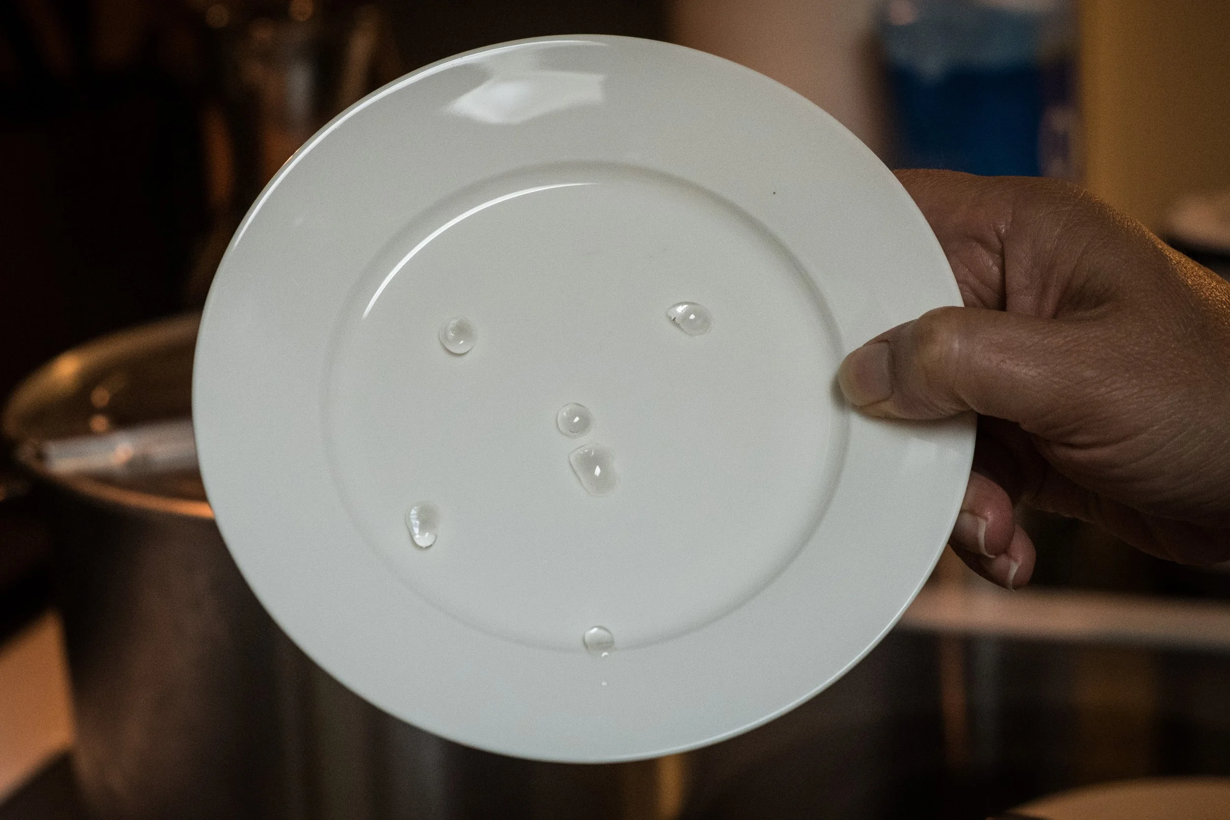 plate.jpg