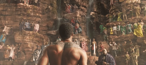 I'm requesting my graduation party be held on a waterfall. Wakanda inspired outfits and chest choreography required. Source: Giphy 