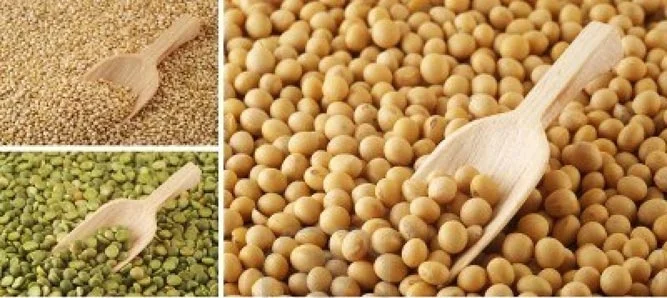 grain-pulses-803861.jpg