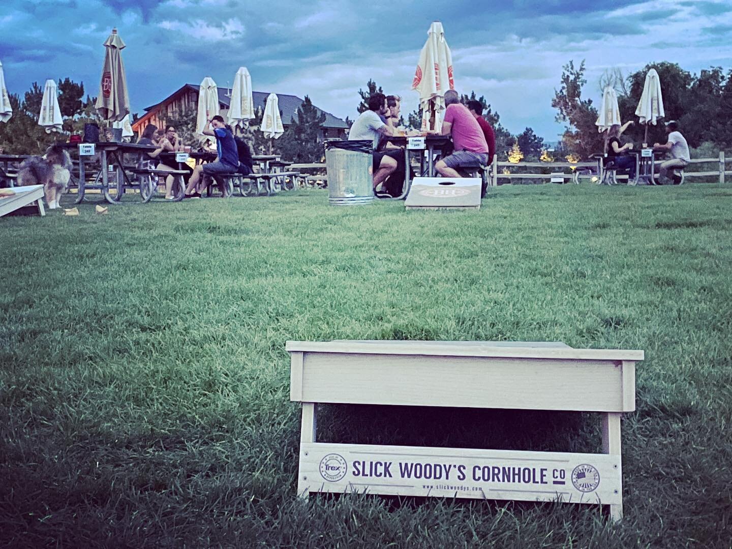 Got to love the name of this Corn-hole company 🤣 , #breckenridge , #summervibes , #colorado , #breckenridgebrewery , #gooutsideandplay , #cornhole , #summernights , #coloradolife