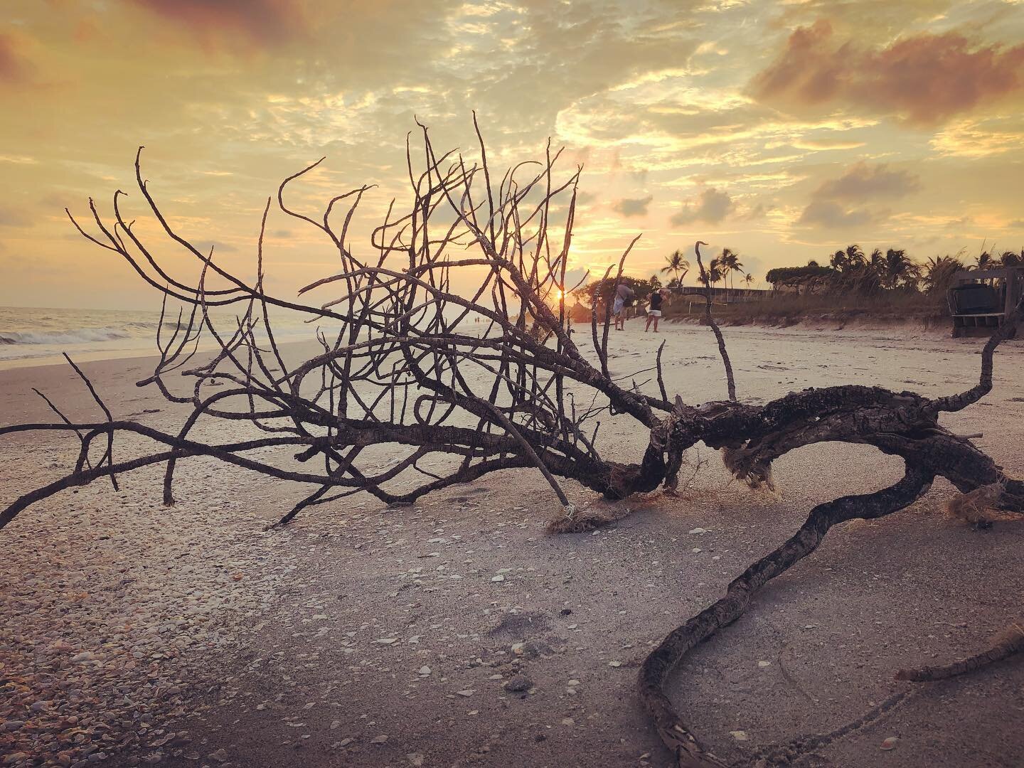 Sending love to our Floridian family and friends 💛🙏🐚 , #florida , #familia , #ocean , #loveoneanother , #bepeace , #support