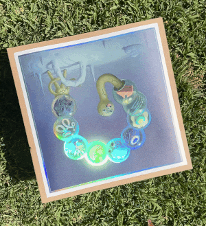 ezgif-6-8a2a211145.gif