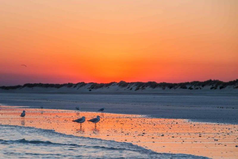80_mile_beach_col_ingram.jpg