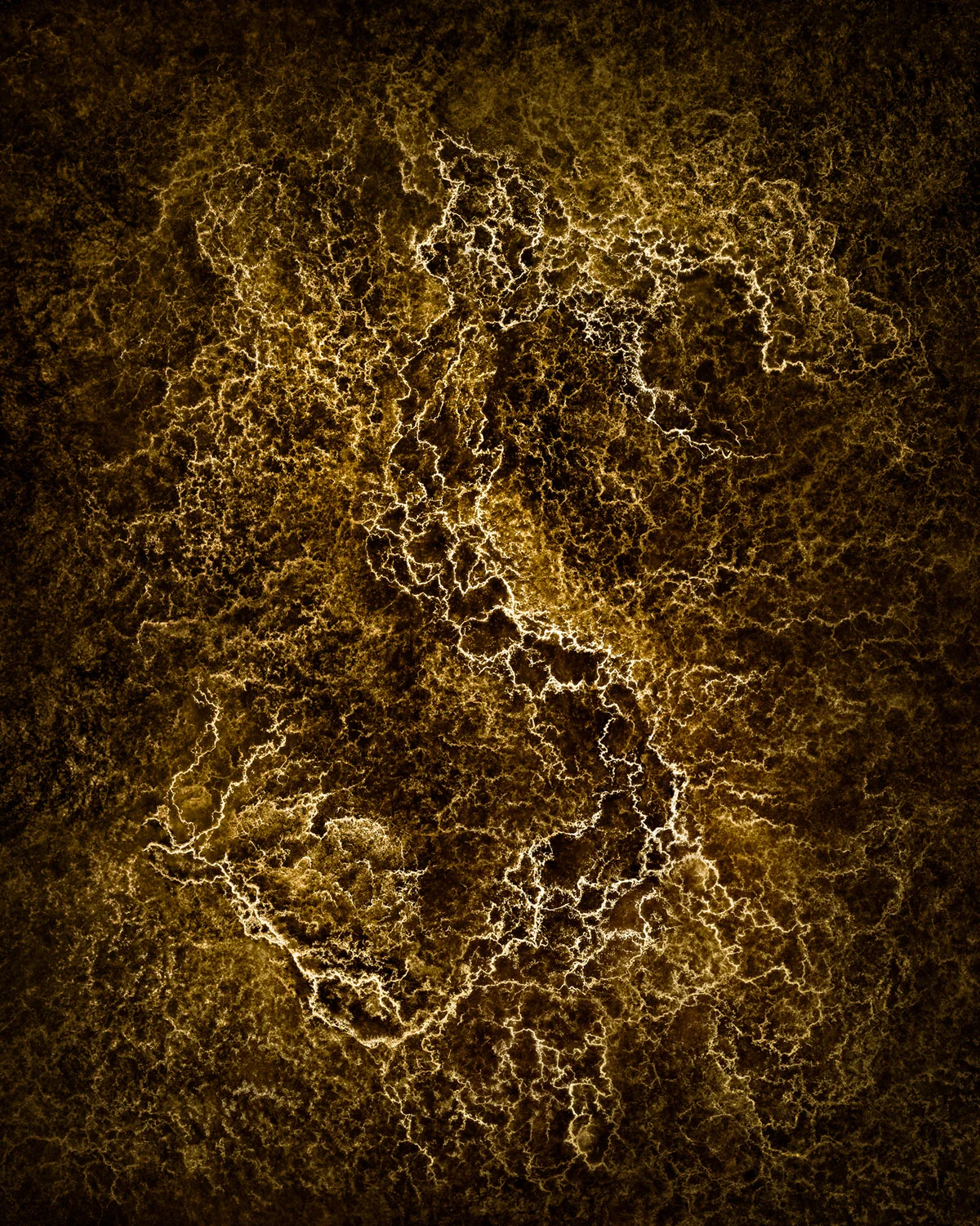 Exographie n°8