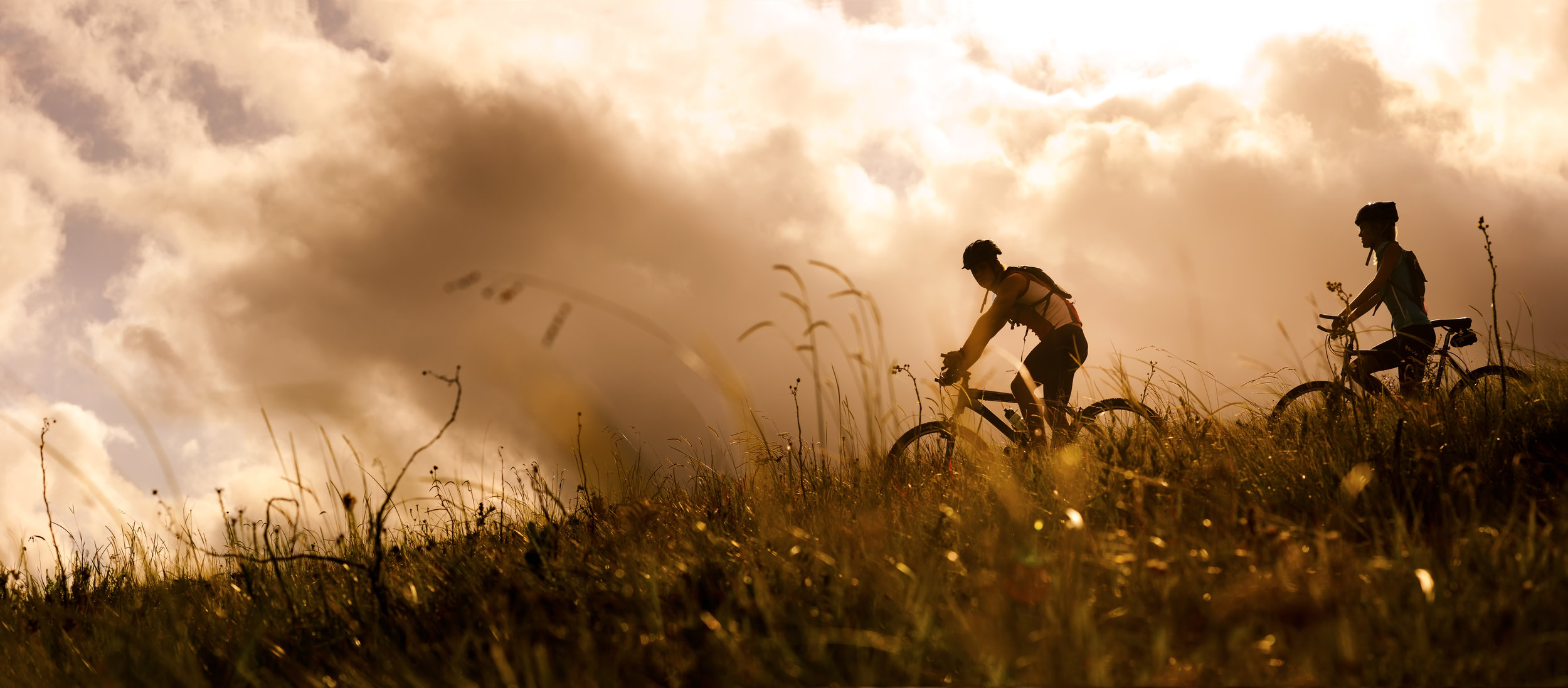 AdobeStock_30292061.jpeg