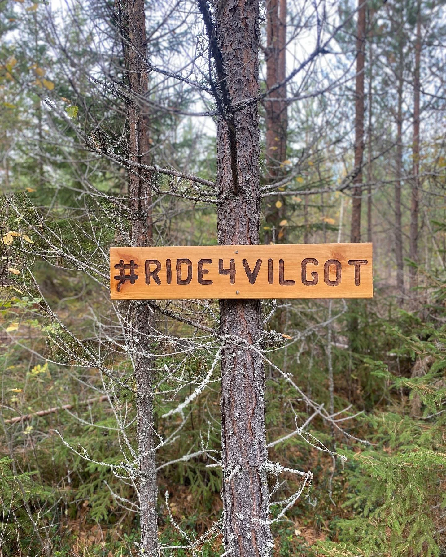 F&ouml;r exakt ett &aring;r sedan stod jag p&aring; den h&auml;r platsen n&auml;r jag fick det v&auml;rsta telefonsamtalet jag f&aring;tt. I andra &auml;ndan var en ambulanssjukv&aring;rdare som ber&auml;ttar att de just hittat Vilgot Lindh avliden. 