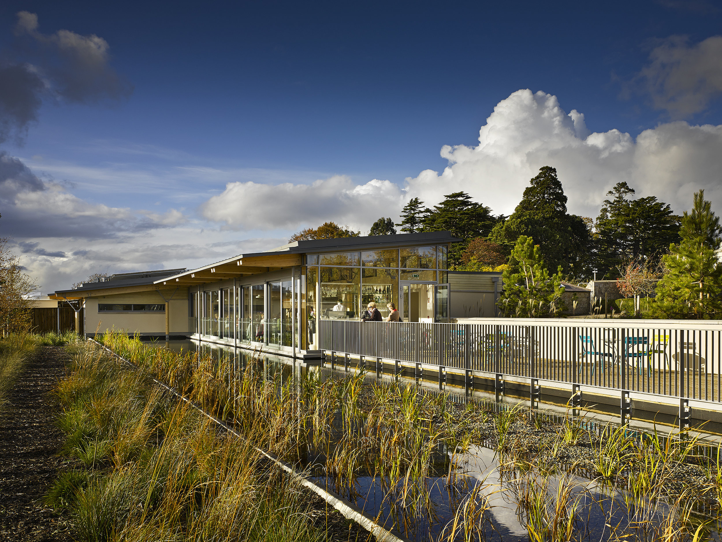 Airfield cafe_Solearth_ros kavanagh.jpg