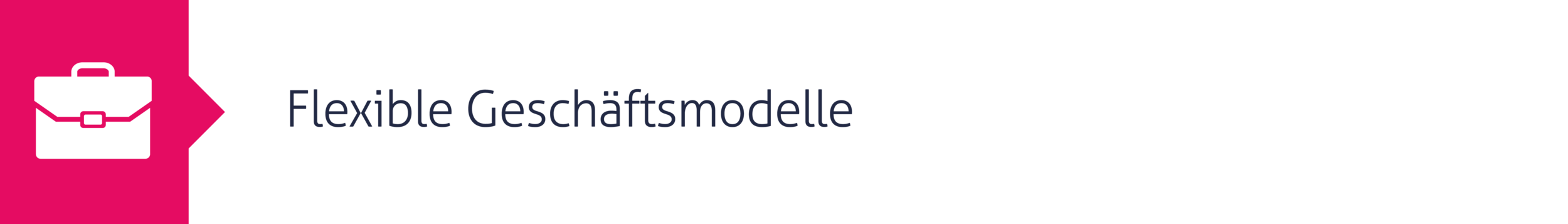 10. Flexible Geschäftsmodelle