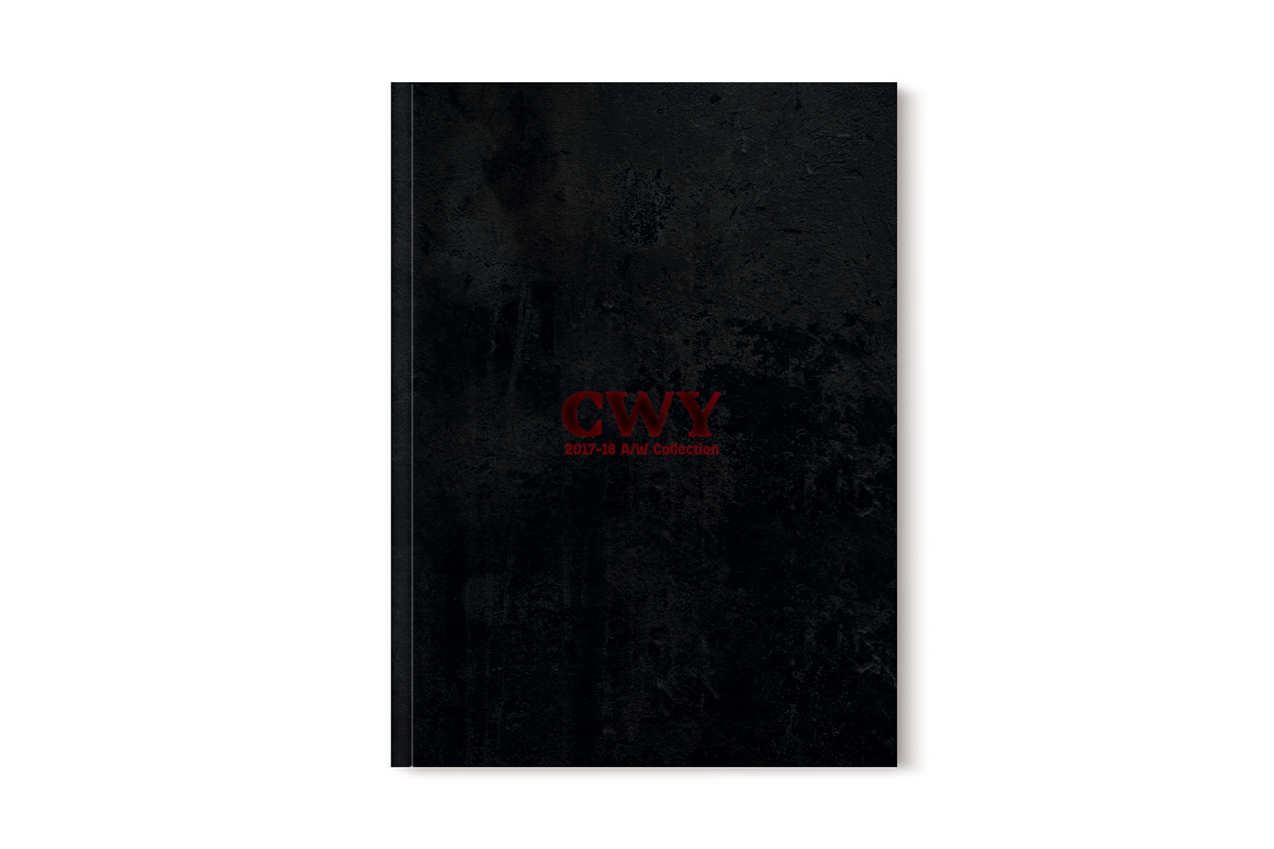 CWY-Cover.png