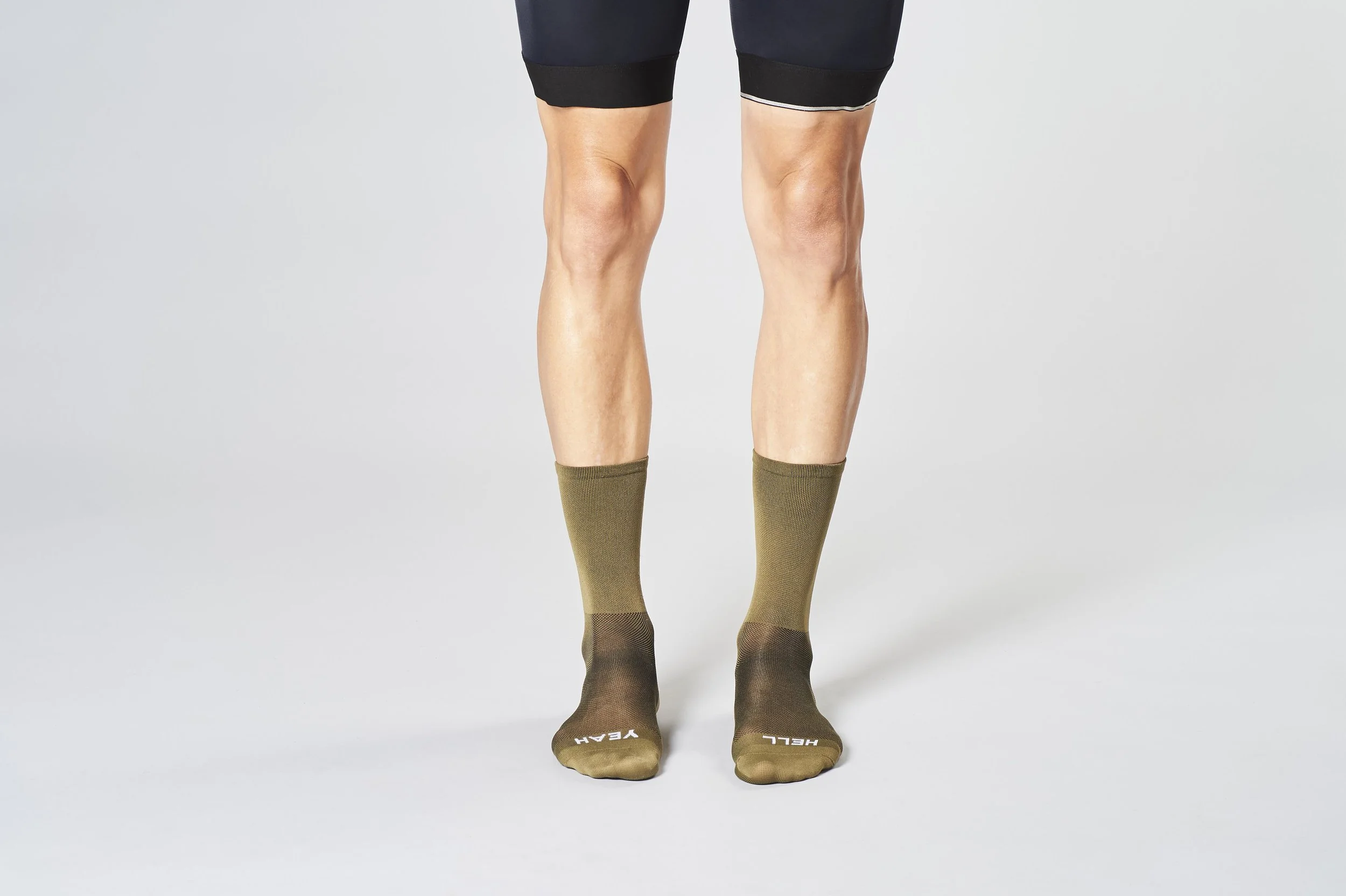hy olive 1.jpg