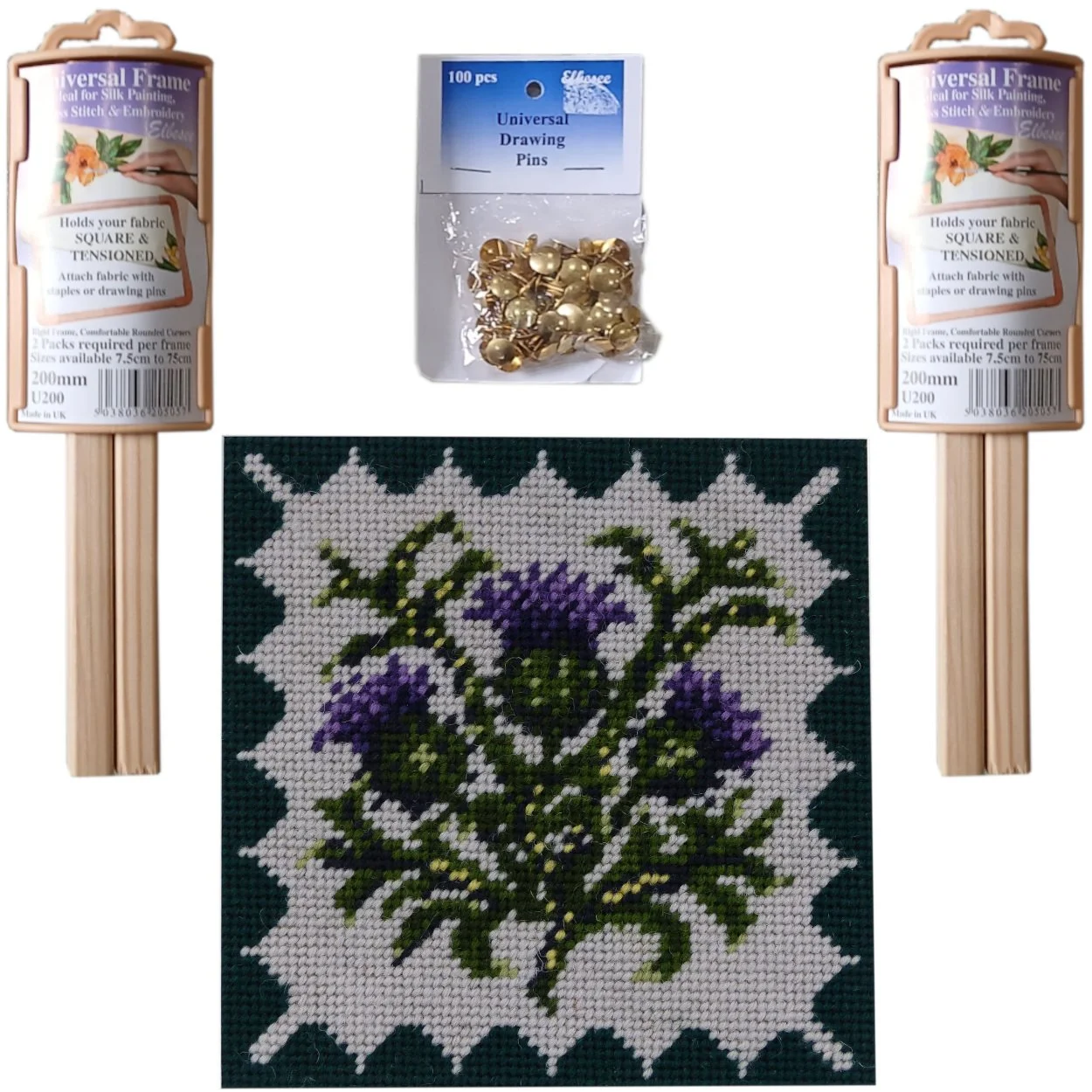 Tiny thistle with frame.jpg