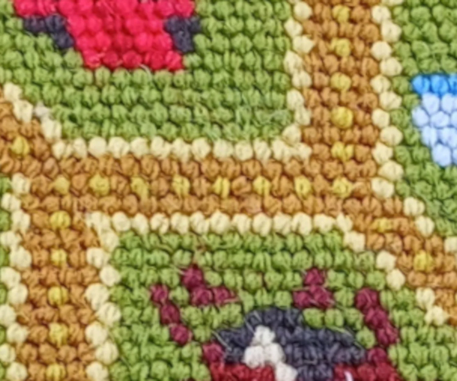 Mixed Bugs CLOSE UP.jpg