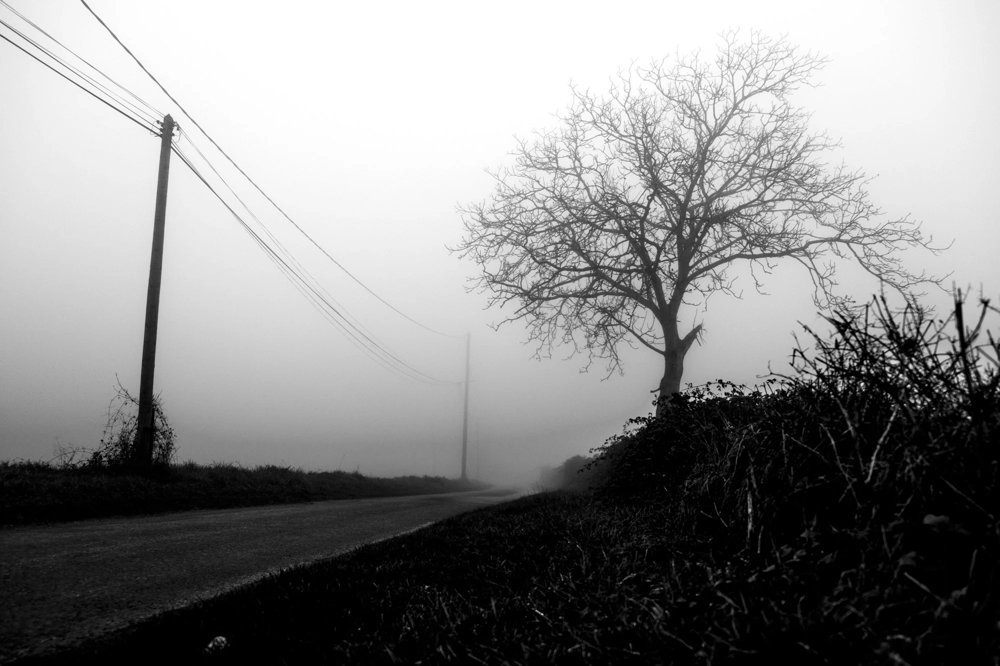 _DSF0799-Edit.jpg