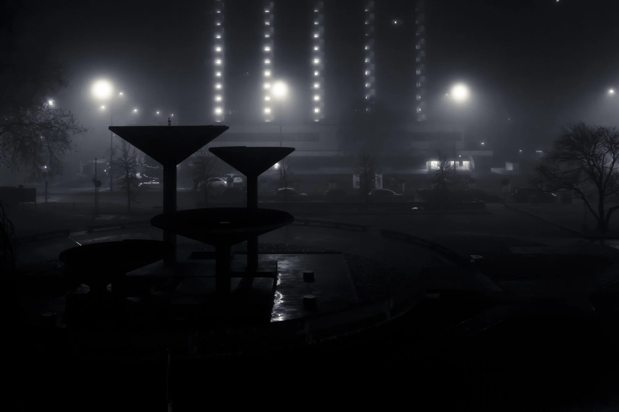 _T4A1204.jpg
