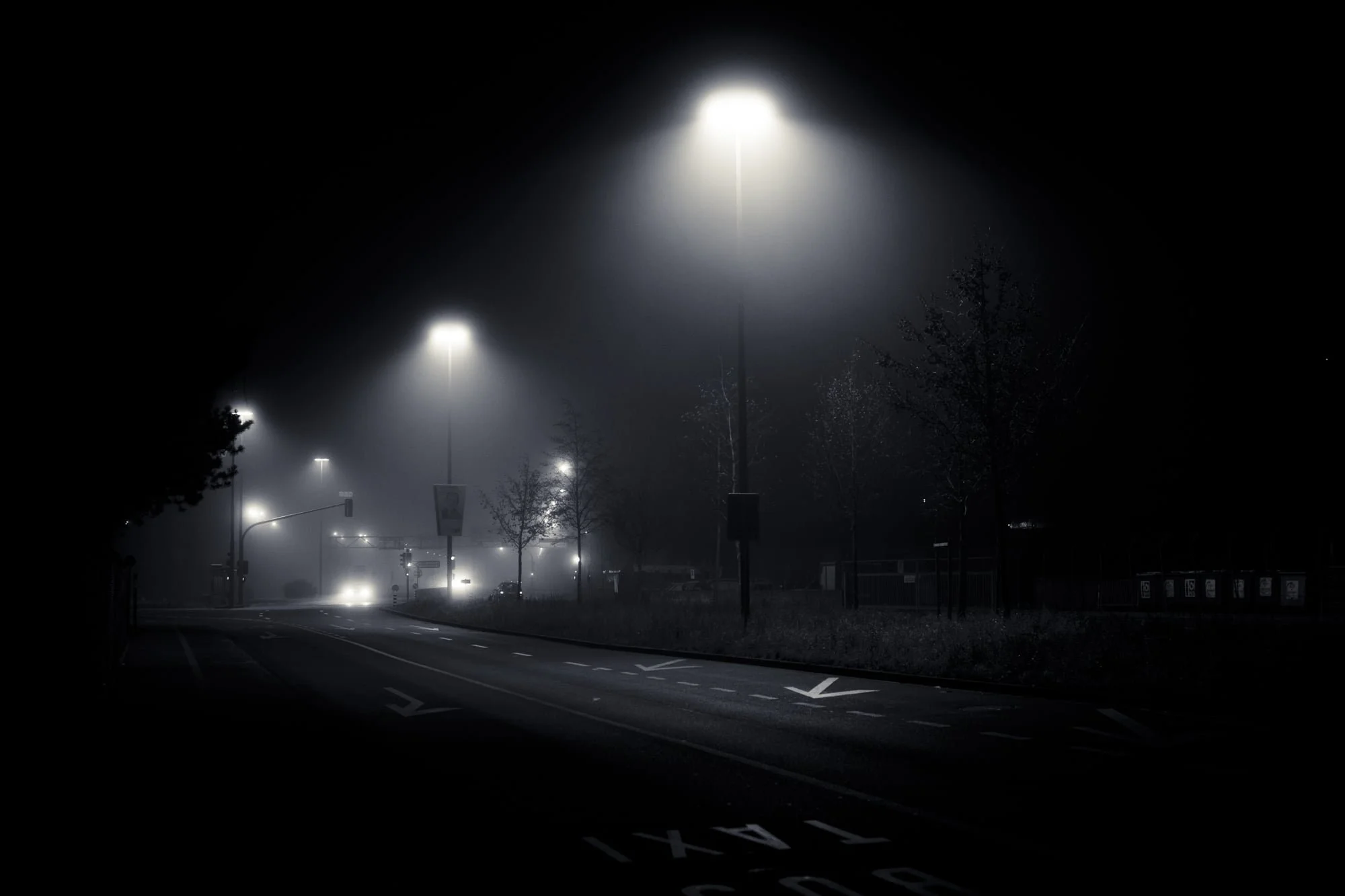 _T4A5685.jpg