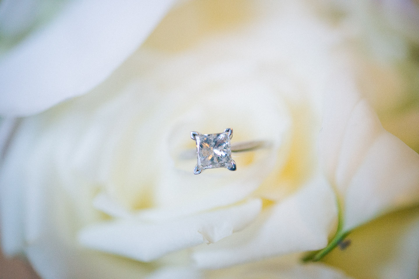 NH Wedding Photographer: engagement ring in bouquet