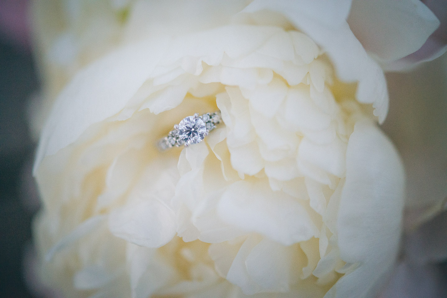 NH Wedding Photographer: engagement ring in bouquet 