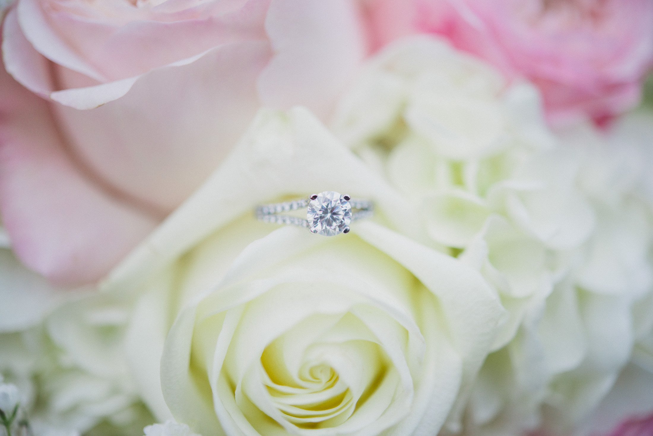 NH Wedding Photographer: engagement ring in flowers 