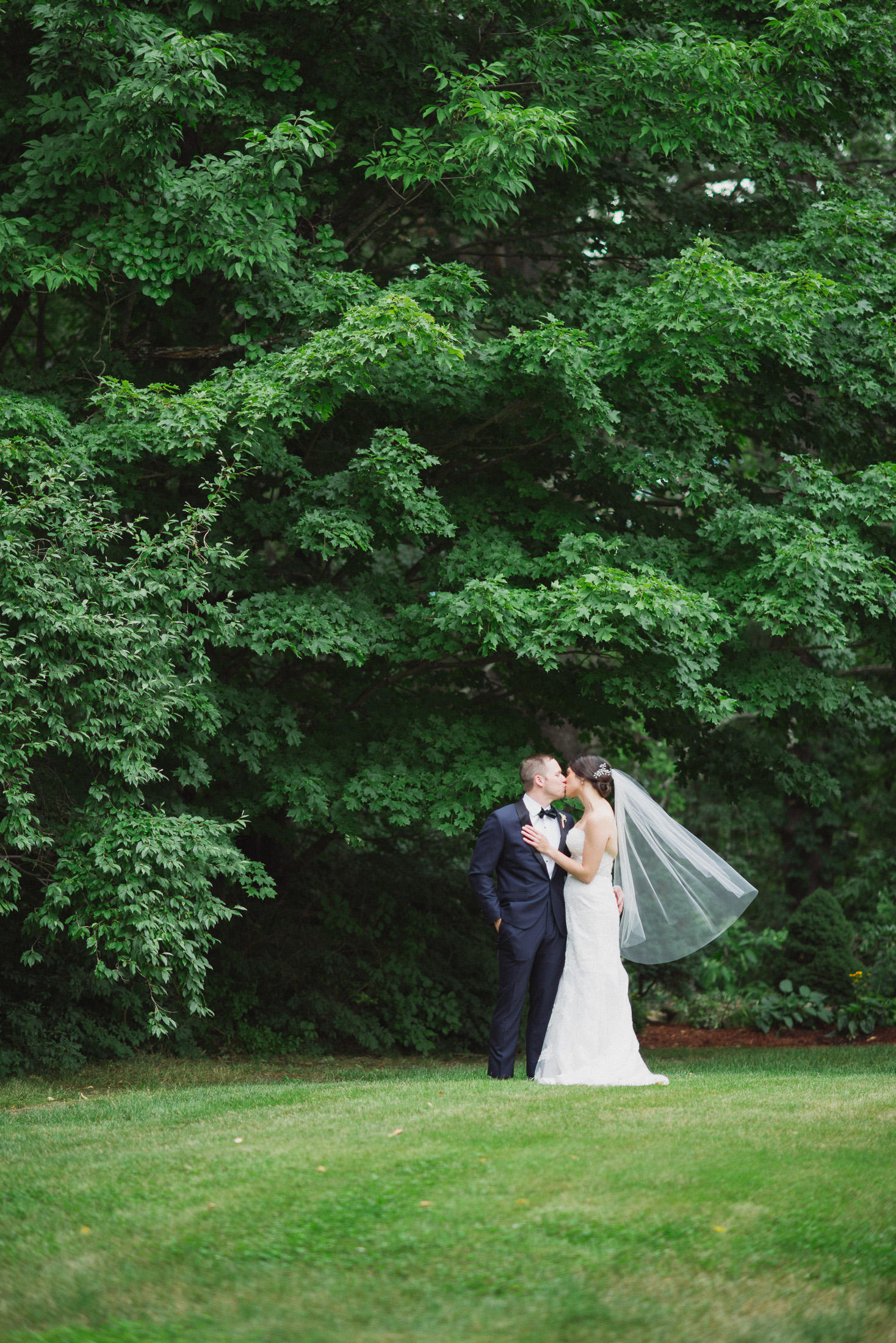 NH Wedding Photographer: couple near trees at BVI